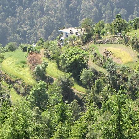 Shimla Nature Ville Ngoại thất bức ảnh