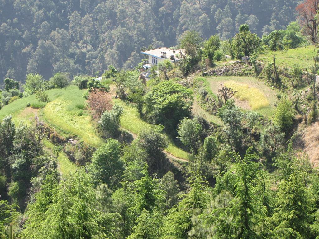 Shimla Nature Ville Ngoại thất bức ảnh