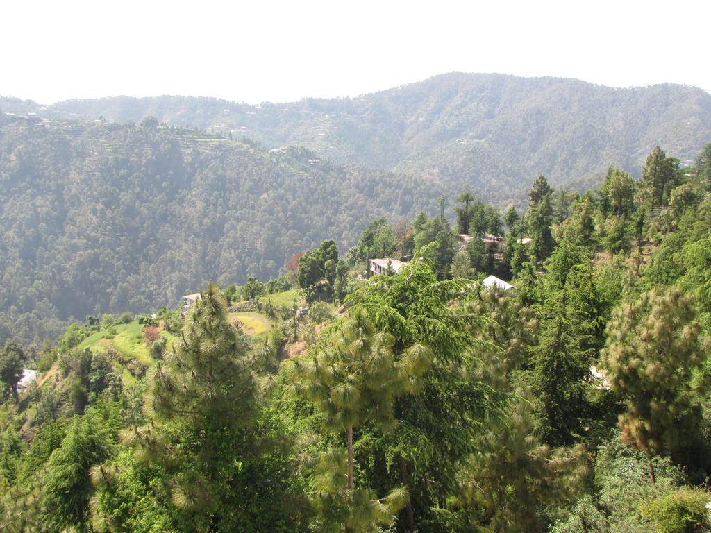 Shimla Nature Ville Ngoại thất bức ảnh